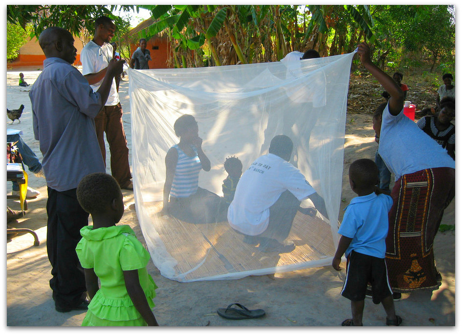 Gift a pack of five mosquito nets