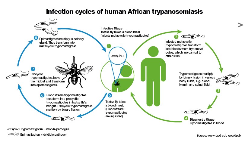 attending-to-neglected-tropical-diseases-cmmb-blog