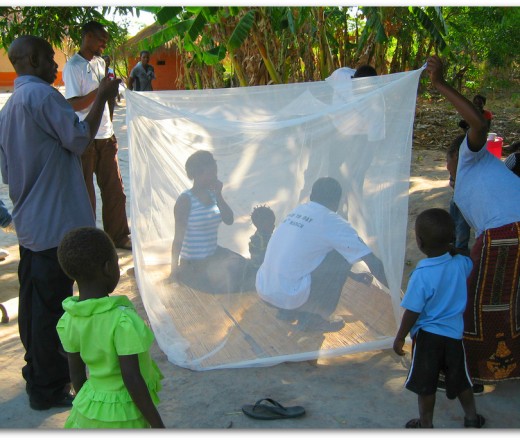 Teaching people about using mosquito nets