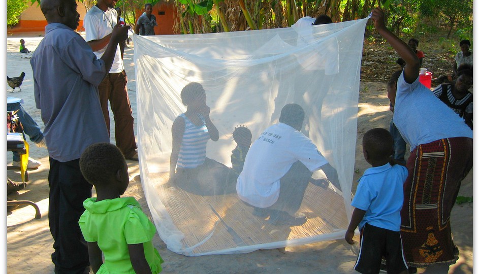 Teaching people about using mosquito nets