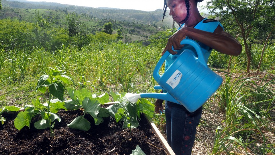 Garden starter. The power of planting.