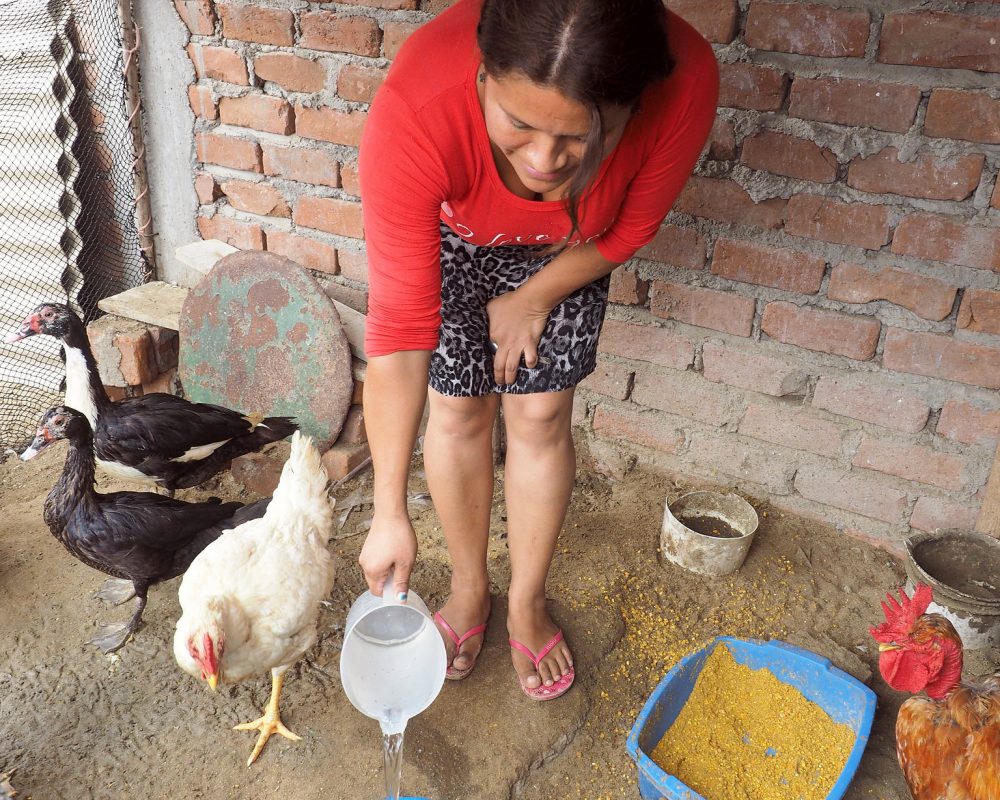 Maria Elena in Peru with her chickens changing her life