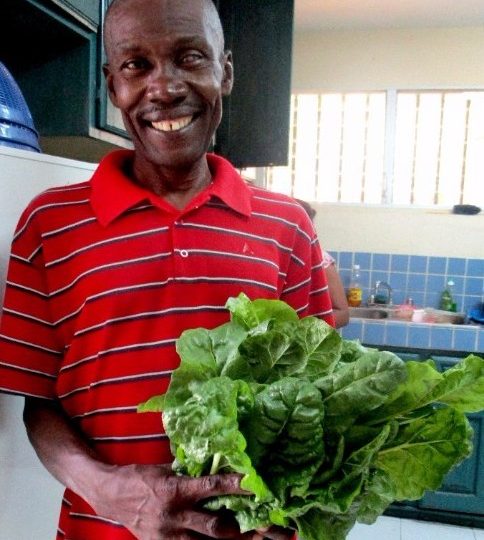 first spinach harvest of the year in Haiti