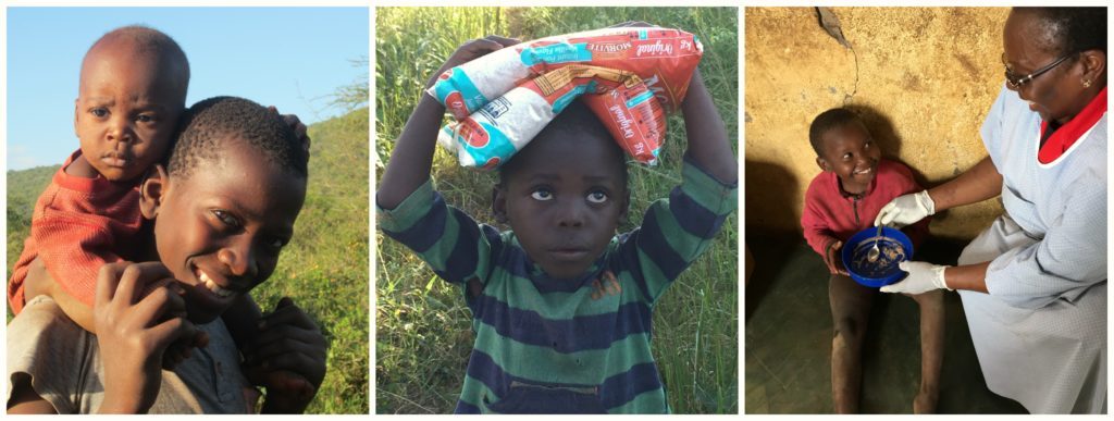Collage of photos for Hartmann fundraising campaign