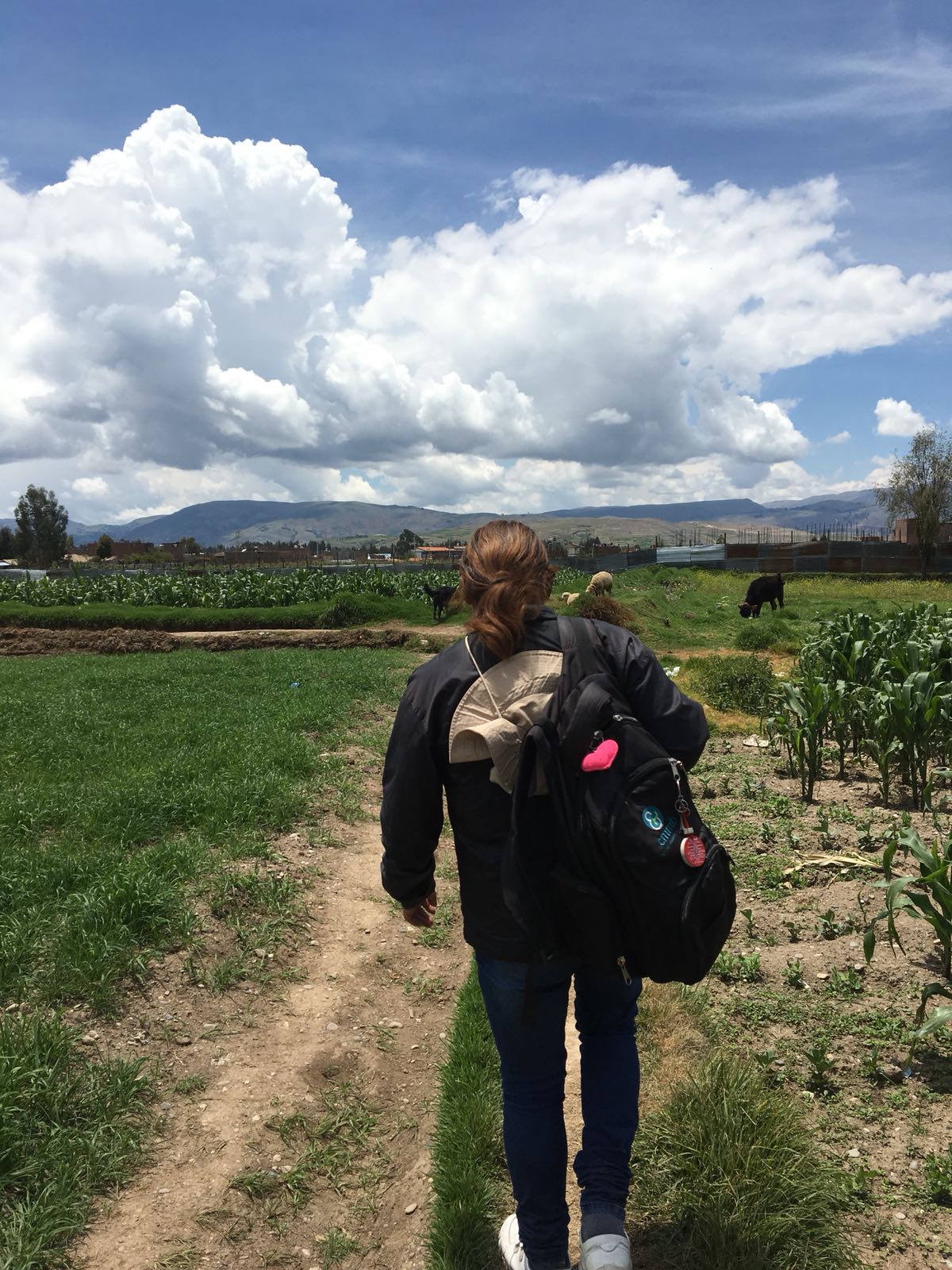 Niki walking to see patients in the countryside of Huancayo