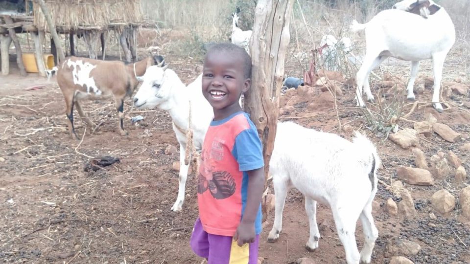 Little girls with goats in Kenya
