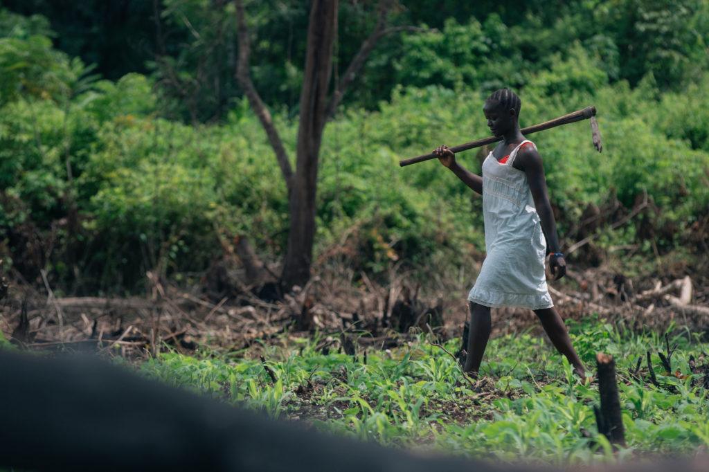 Collecting firewood in South Sudan