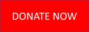 Red button that reads donate now for the devasation caused by Cyclone Idai.