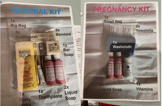 Example kits for women and expectant mothers