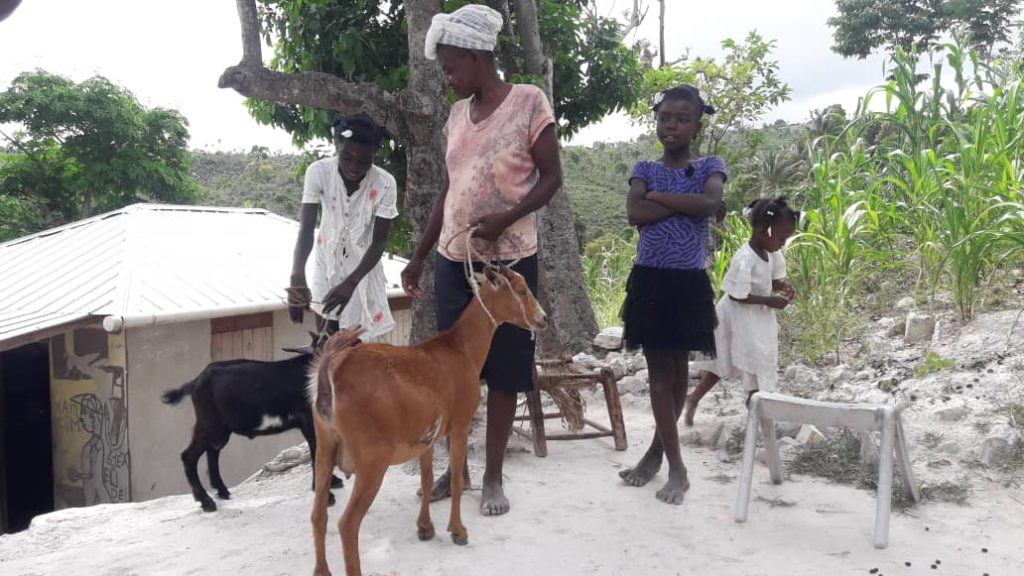 Family stands in front of their house with goats. 