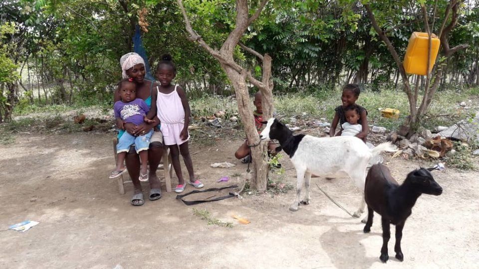 A family sitting outside while their goat feeds