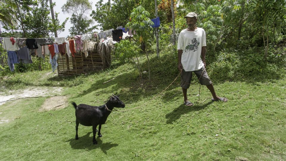 Man stands with a black goat in Haiti. Give a goat in honor of your G.O.A.T.