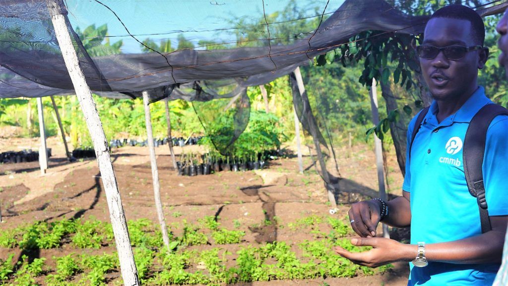 cmmb's agronomy project in Cotes-de-fer, Haiti 