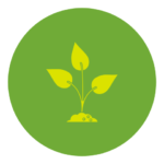 Volunteer principle icon featuring a yellow plant