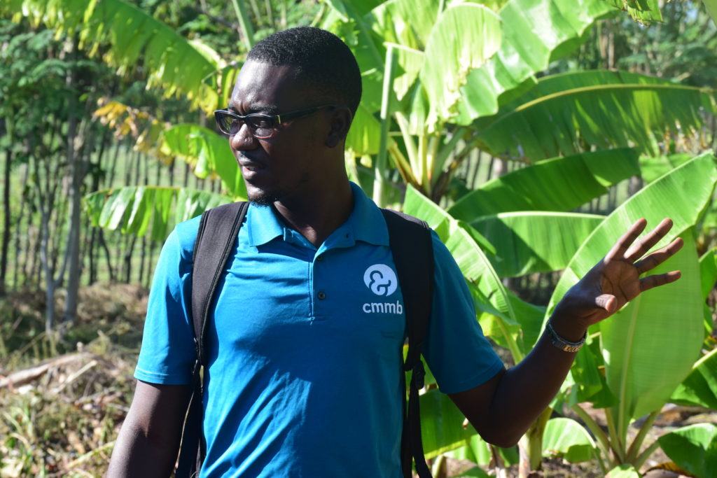 cmmb's agronomy project leader, Lunis, in Cotes-de-fer, Haiti