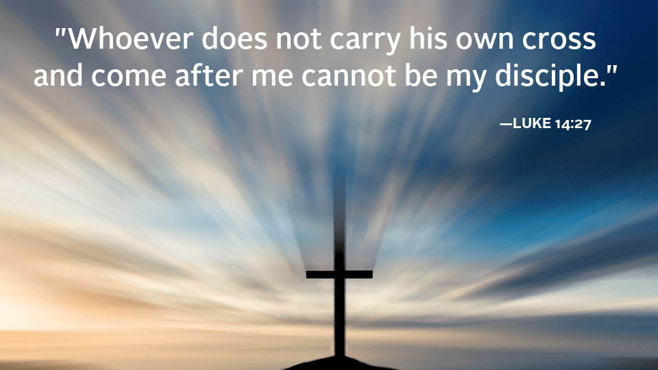 cmmb weekly reflection - gospel quote