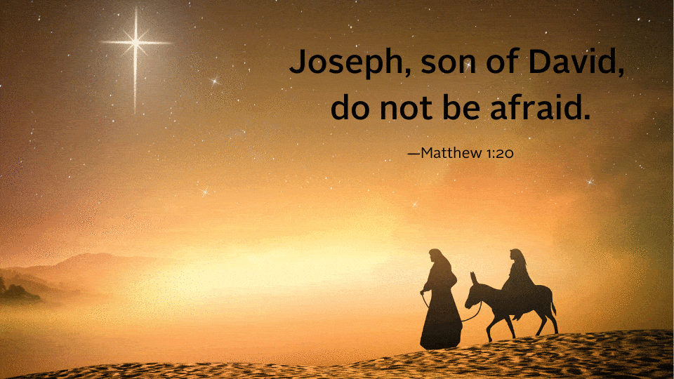 weekly reflection 12-22 gif sunday gospel 12-22-19 gif