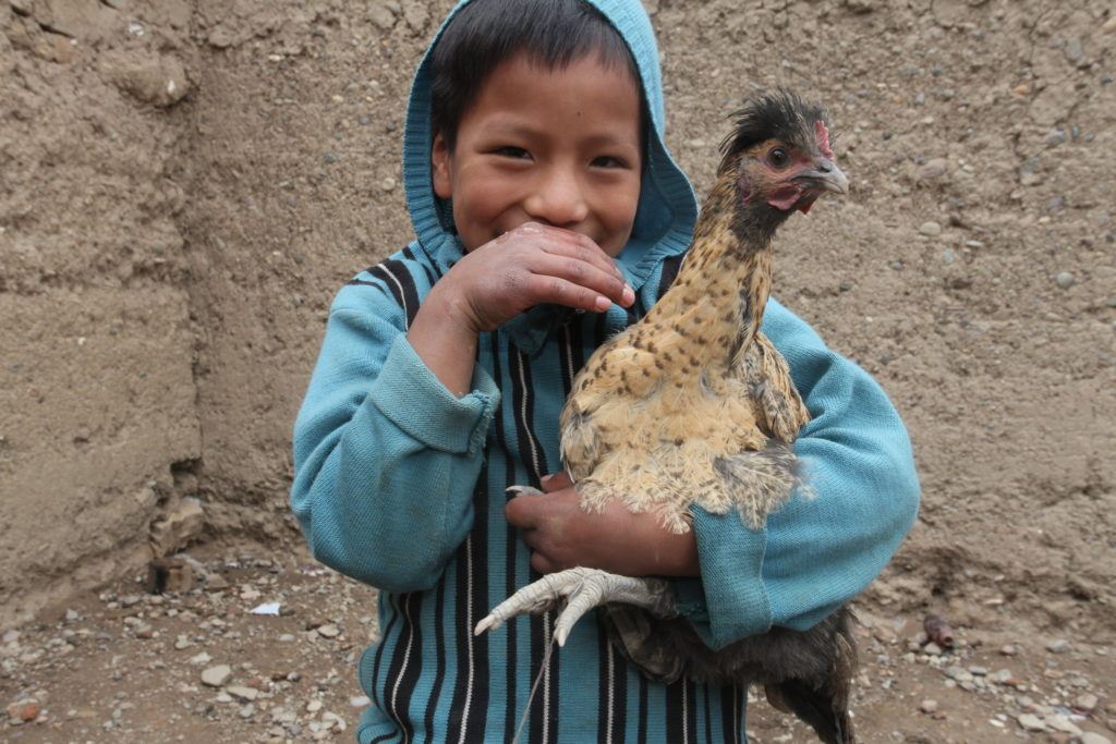 A boy smiles and holds a chicken in his arms