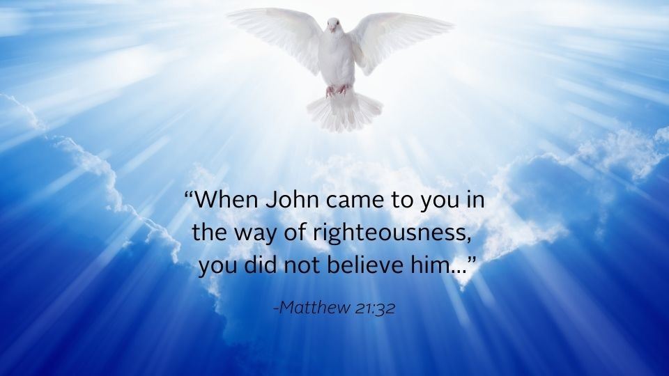 dove in the sky with bible quote from matthew