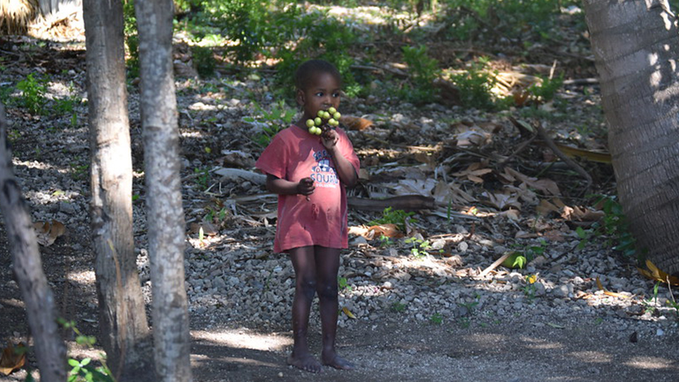 A malnutrition girl who suffered from swelling of the gut is eating grapes in Haiti in September 2018.