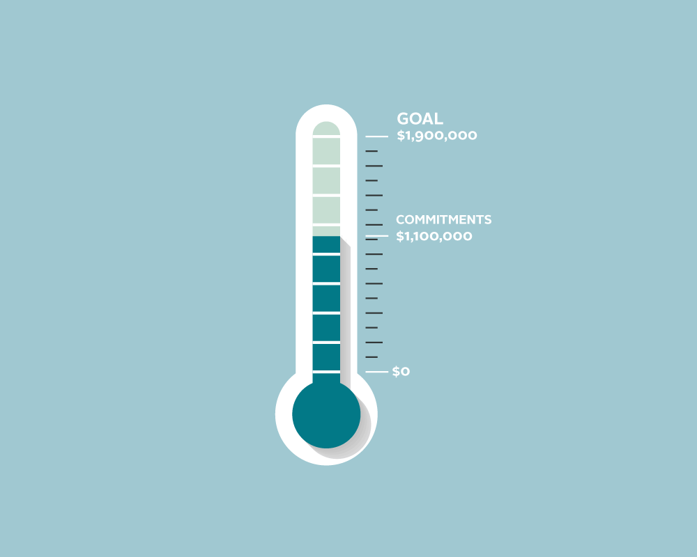 A meter of CMMB's fundraising goal for COVID-19 emergency response.