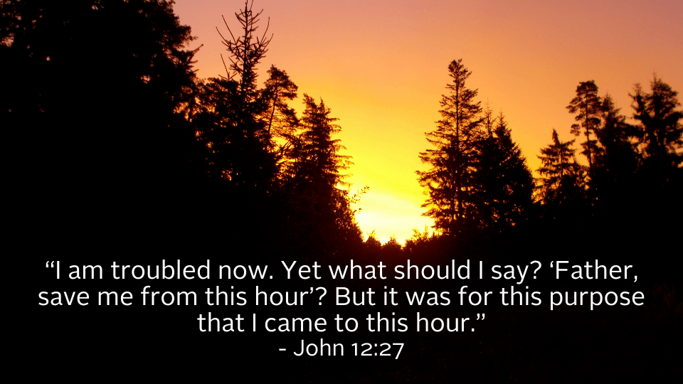 march 21 weekly reflection image with bible quote