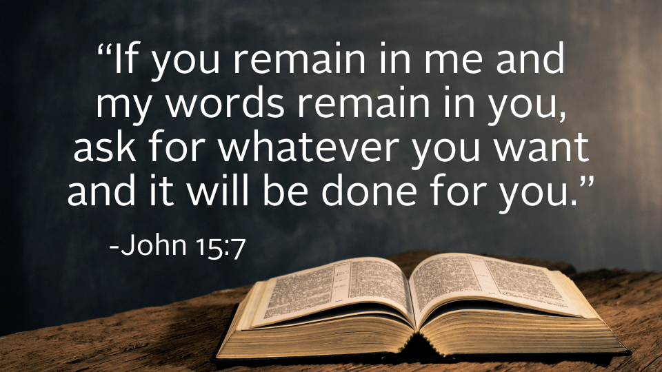 weekly reflection may 2 image with bible
