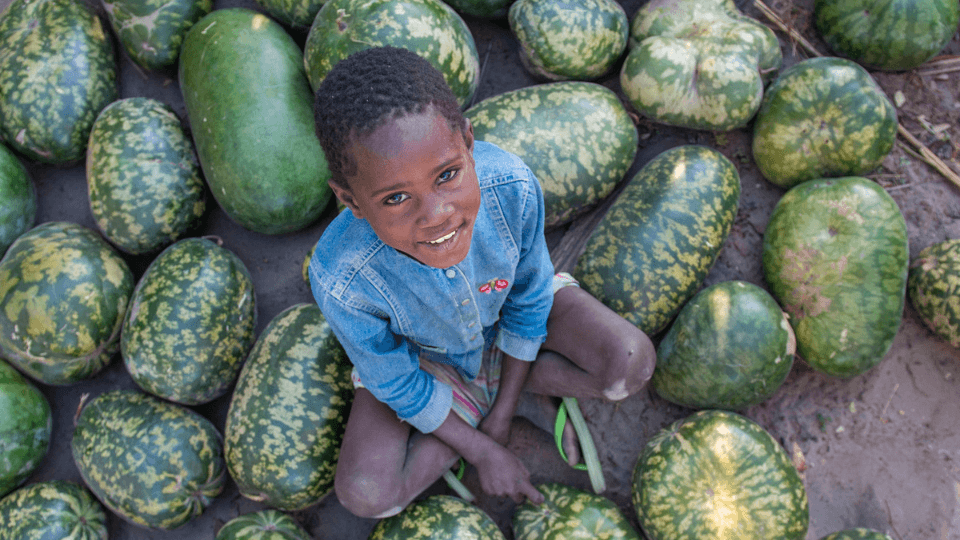 child with watermelons zambia