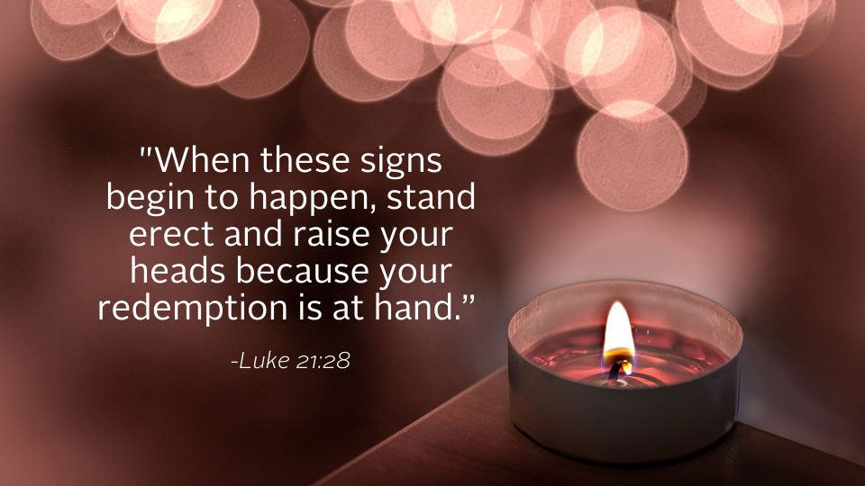 Weekly Reflection Luke Gospel Quote