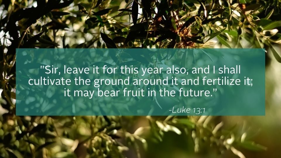 foliage and gospel quote