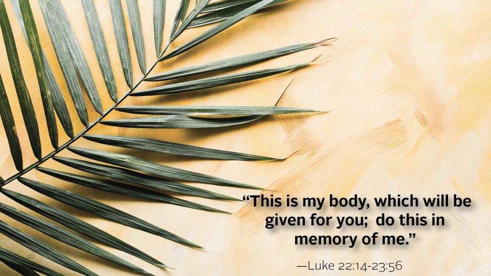 Weekly Reflection Quote from the Gospel of Luke for Palm Sunday