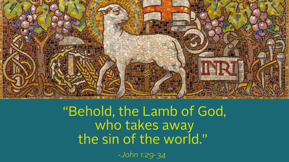 CMMB Weekly Reflection graphic featuring quote from the Gospel: Behold, the Lamb of God, who takes away the sin of the World.