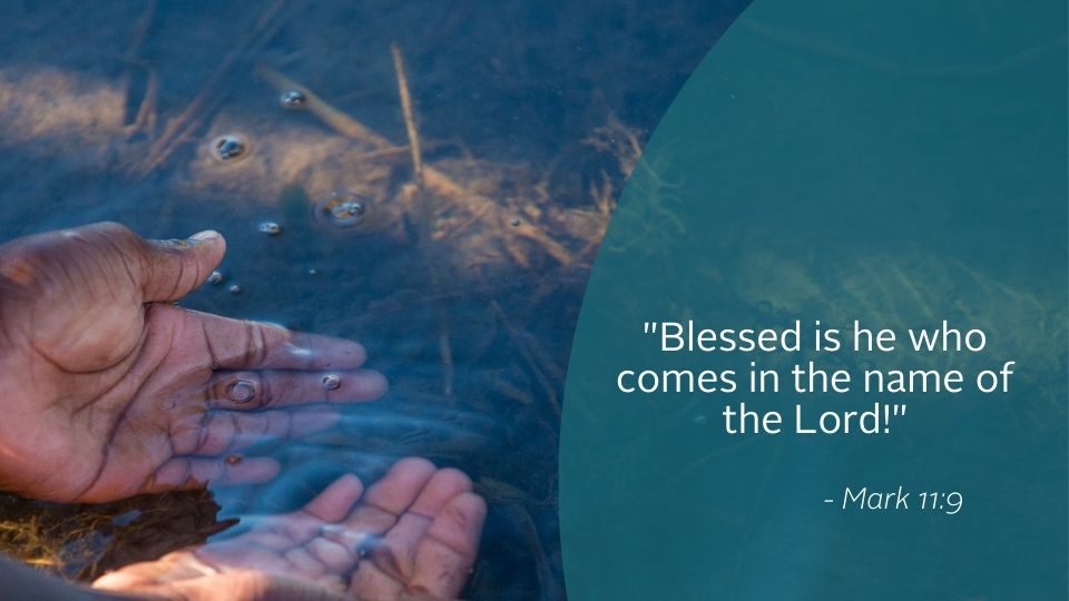 Weekly Reflection graphic featuring quote from the Gospel. Today we reflect on the start of Holy Week