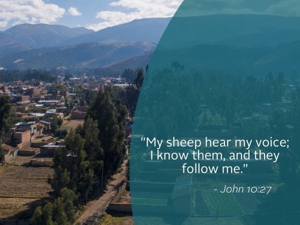 WR Image May 11 2025 Weekly Reflection featuring quote from the bible. Today we reflect on the good shepherd.