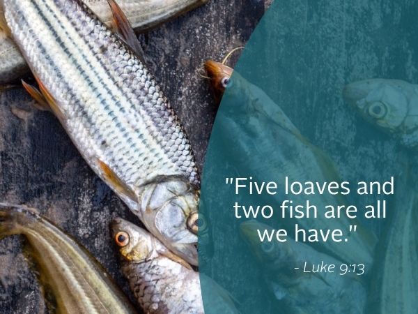 WR Image June 22 2025 Weekly reflection image featuring quote from the bible. today we reflect on how Jesus fed thousands with so little.