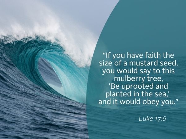 Weekly Reflection graphic featuring quote from the gospel.