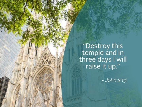 WR Image 11.09.25 Weekly Reflection featuring quote from the Gospel. Today we reflect on our commitment no matter how many steps we must take.