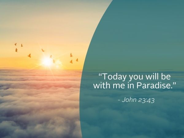 Weekly reflection featuring quote from the bible. Today we reflect on hope.