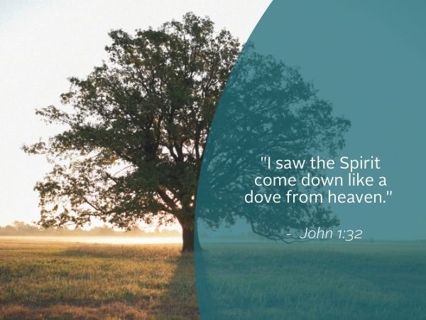 Weekly Reflection image featuring quote from the bible.