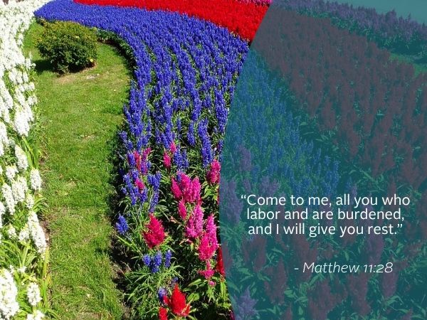 Weekly Reflection image featuring quote from the bible. Today we reflect on the importance of rest.