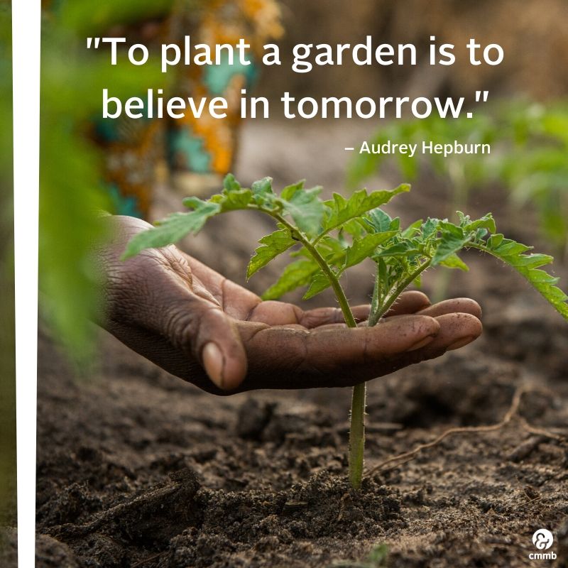 To plant a garden is to believe in tomorrow 